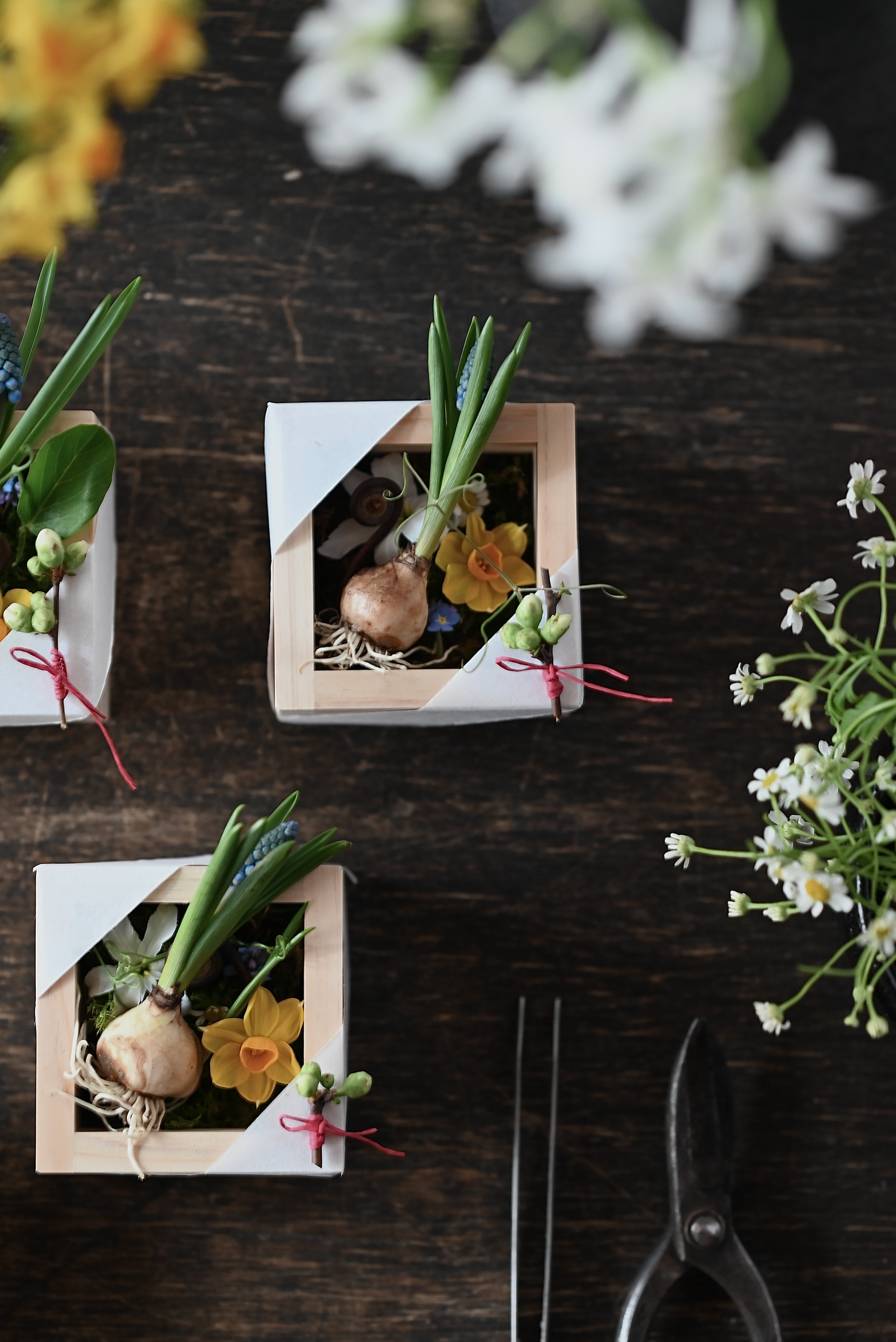 季節のおくりもの